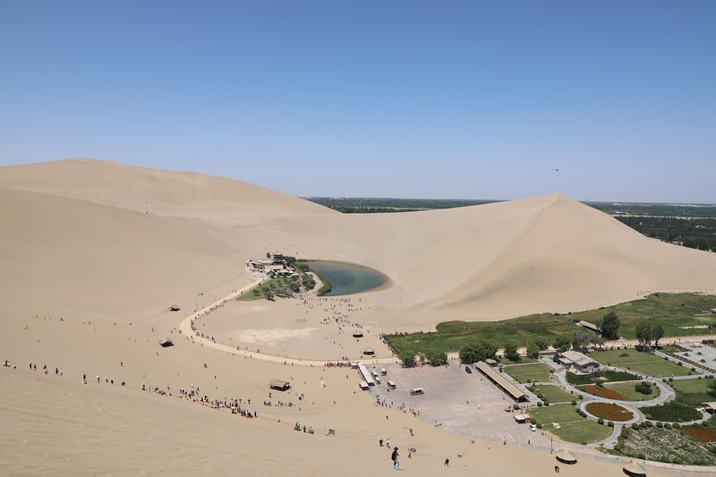 Unicorn Meadows Oasis